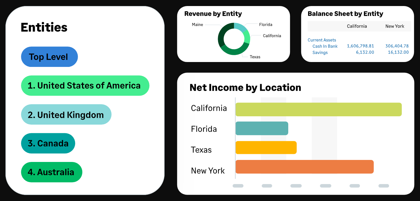 Sage Intacct multi-entity reporting: entity list, revenue by entity, balance sheet by entity, net income by location
