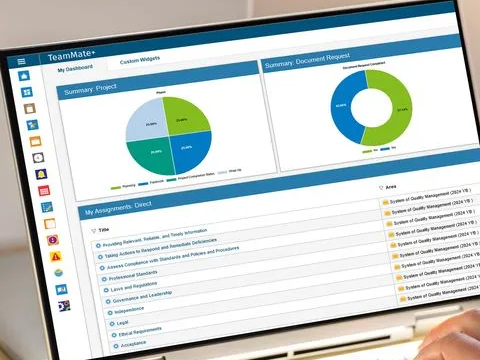 TeamMate+ dashboard with project summary and document request charts and a list of assignments.